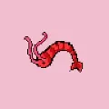 Coin Critters Vol. 1