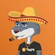 Billionaire Coyote CarteI