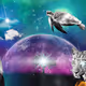 Just images in amazing collection