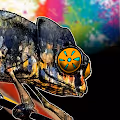 The Chameleon's Fine Arts