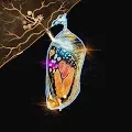 TheChrysalis