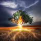 FireTree V2
