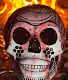 Alphas Skull Collection *