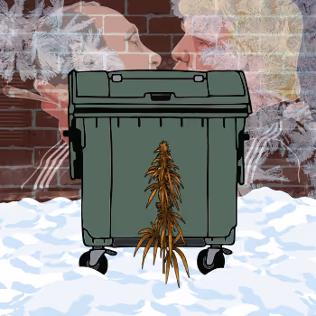 dump nft (winter version)