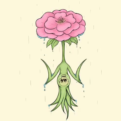 Metamorphosis Of Flowers