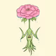 Metamorphosis Of Flowers