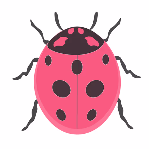 Ladybug Official