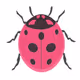 Ladybug Official