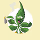 Crypto Crazy Buds