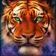 METATIGER Bonus NFTs