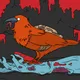Raven The Messenger