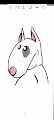 stoski dog