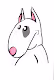 stoski dog