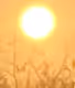 Sun and Sun-Art