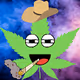 Toke Buddies