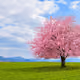 The Perfect Landscape