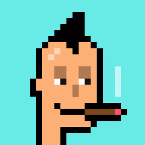Punks Fanatics