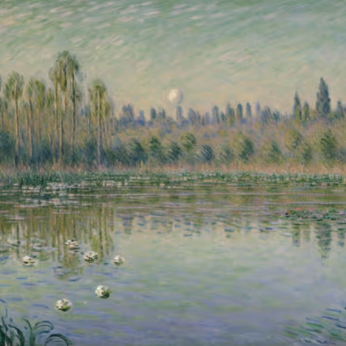 YODA Story #3: Meta Gamma Delta DAO