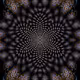 Cryptoleidoscopes