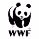NFA - Non-Fungible Animals
