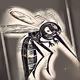 Mosquitos en Accion