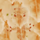 Autumn by lord #808 - big 4L  x Reddit Collectible Avatars