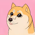 Nifty_Doge Collection