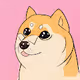 Nifty_Doge Collection