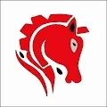 Noble Horse Series