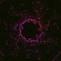 Techno Space Tunnels