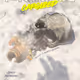 The Fringe: Capsized - Issue 1 Empty Vessel