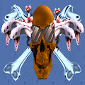 Skull Crossbones with Sunglasses