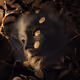 INNER  KINGDOM  GILDED AGONY
