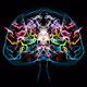 God In The Brain