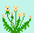 Novel Flowers - IlZdnBhwFB