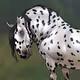 Heavy Horses