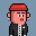 CryptoPigss