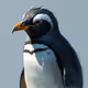 Penguin Pose