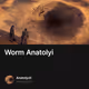 Worm Anatolyi