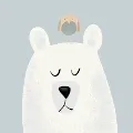 The Average Bears