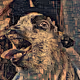 Animals with human names