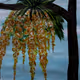 Tree and Plant
