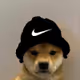 Profile Icons