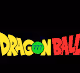 DRAGON BALL Z RARE