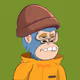 MoNPe-APE#593