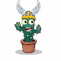 Hello Cactus