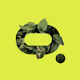 Amazon Green Wall Club On Polygon