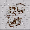 Puzzle Ape Club