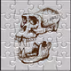 Puzzle Ape Club