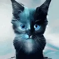 CrazyCatArt